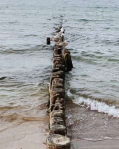 Mewy siedzące na falochronie na plaży w Mielnie