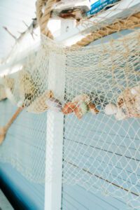 Siatka z muszlami na tle niebieskim