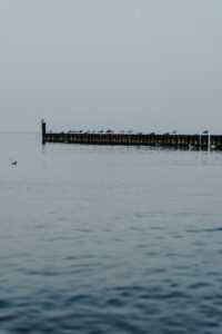 Molo z ptakami nad wodą