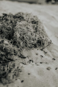 sieci rybackie na plaży w unieściu