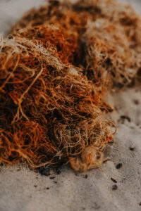 sieci rybackie na plaży w Unieściu