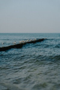 Molo z ptakami nad morzem