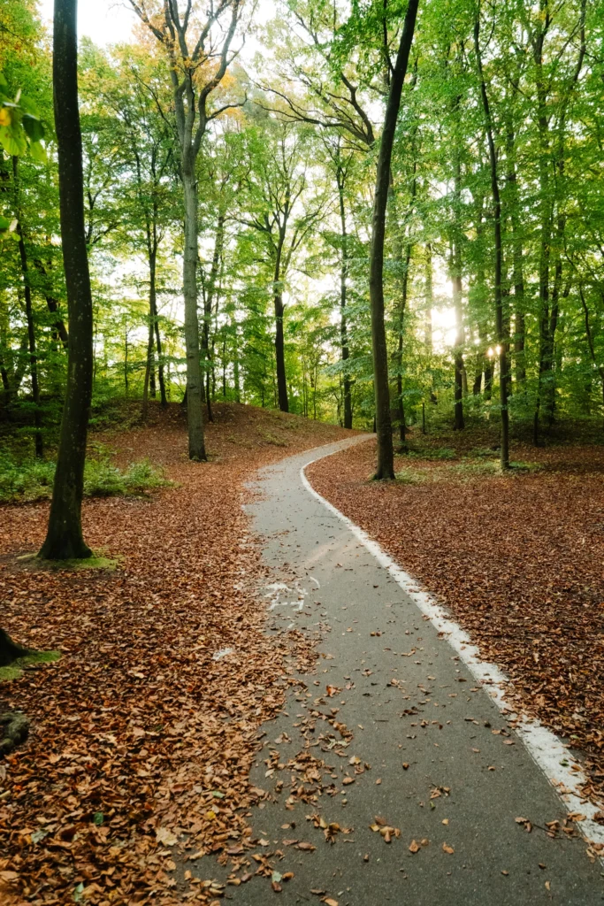 ścieżka rowerowa w Mielnie blisko Domków Wierzbówka